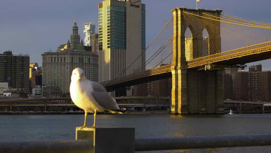 NYC_2017-11-26 15-58-47_P1140497